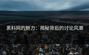 黑料网的魅力：揭秘背后的讨论风潮