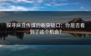 探寻麻豆传媒的新突破口：你是否看到了这个机会？