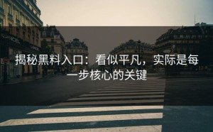 揭秘黑料入口：看似平凡，实际是每一步核心的关键