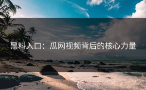 黑料入口：瓜网视频背后的核心力量