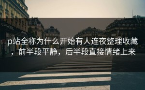 p站全称为什么开始有人连夜整理收藏，前半段平静，后半段直接情绪上来