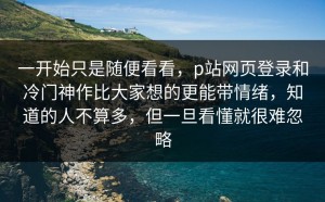 一开始只是随便看看，p站网页登录和冷门神作比大家想的更能带情绪，知道的人不算多，但一旦看懂就很难忽略