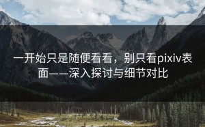 一开始只是随便看看，别只看pixiv表面——深入探讨与细节对比