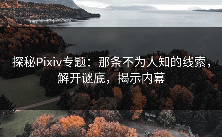 探秘Pixiv专题：那条不为人知的线索，解开谜底，揭示内幕