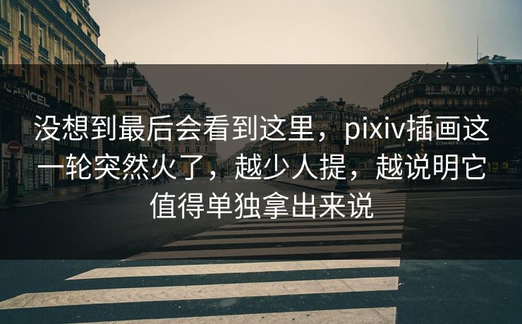 没想到最后会看到这里,pixiv插画这一轮突然火了,越少人提,越说明它值得单独拿出来说 没想到最后会看到这里,pixiv插画这一轮突然火了,越少人提,越说明它值得单独拿出来说