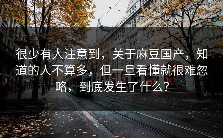 很少有人注意到,关于麻豆国产,知道的人不算多,但一旦看懂就很难忽略,到底发生了什么? 很少有人注意到,关于麻豆国产,知道的人不算多,但一旦看懂就很难忽略,到底发生了什么?